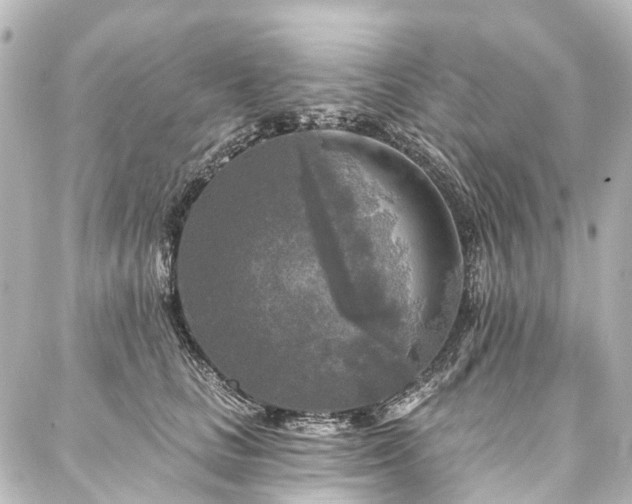 X0000088220661200705151414