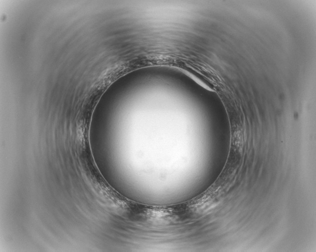 X0000088220662200705151415