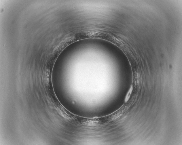 X0000088220664200705151415