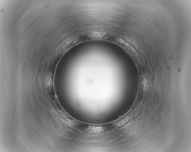 X0000088220665200705151415