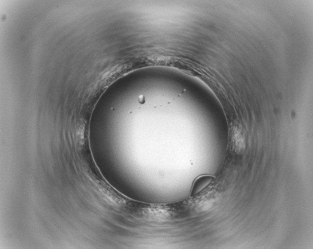 X0000088220668200705151415