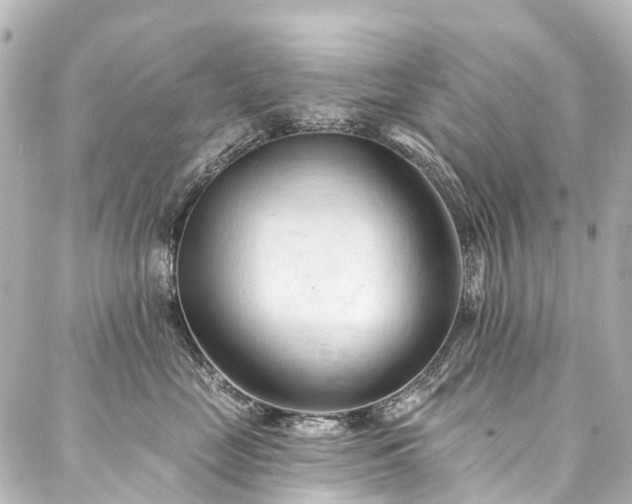 X0000088220669200705151415