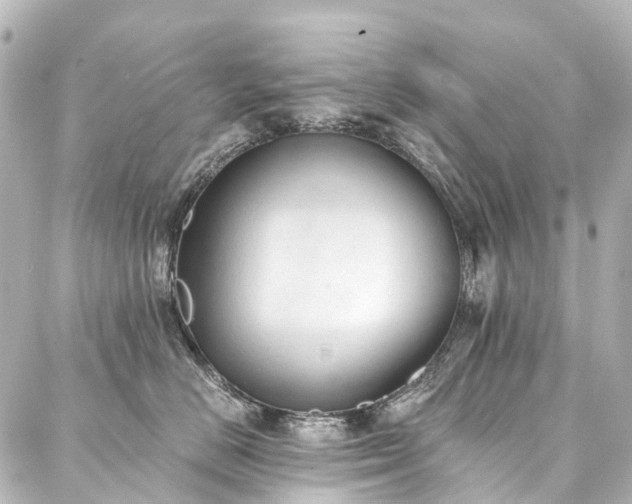 X0000088220670200705151415