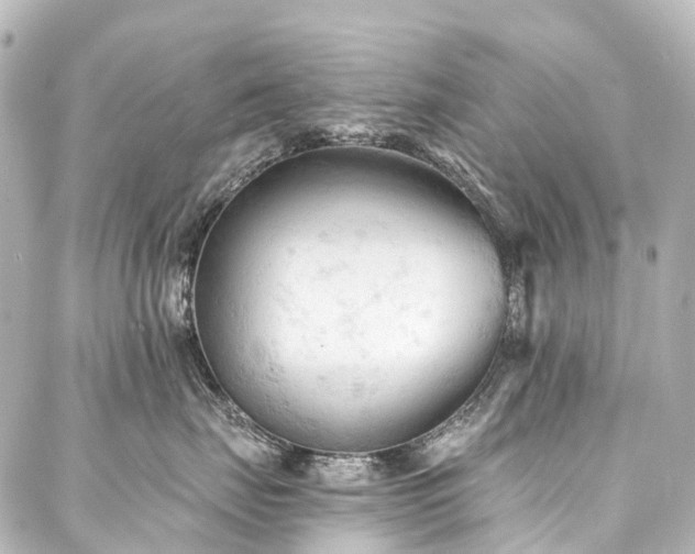 X0000088220671200705151415