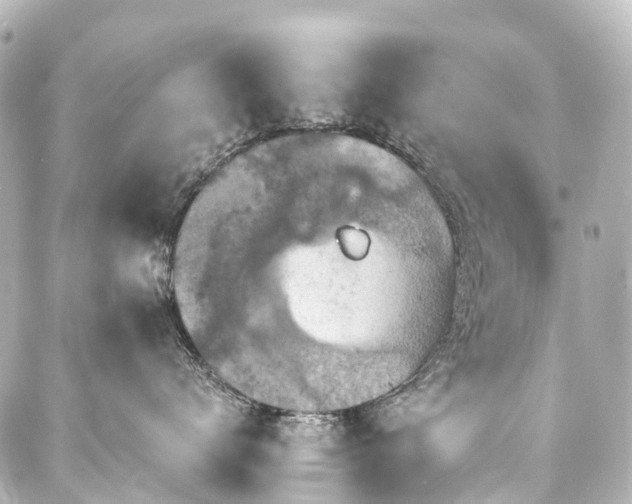 X0000088220672200705151415