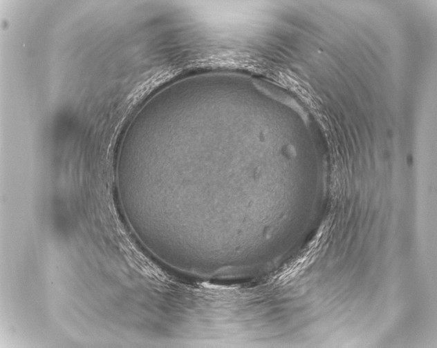 X0000088220673200705151414