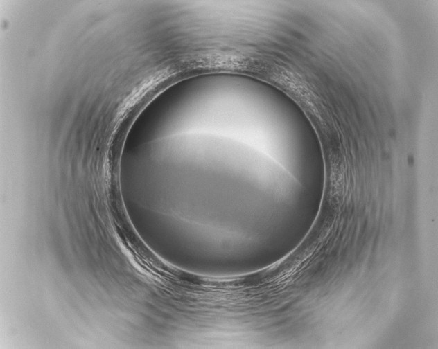 X0000088220674200705151414