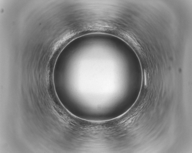 X0000088220675200705151414