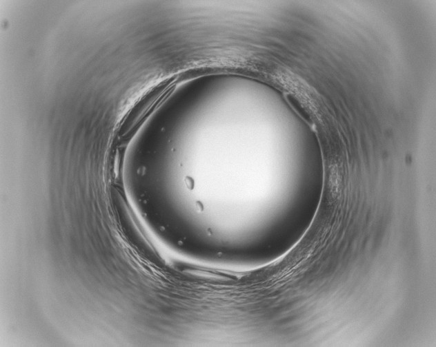 X0000088220676200705151414