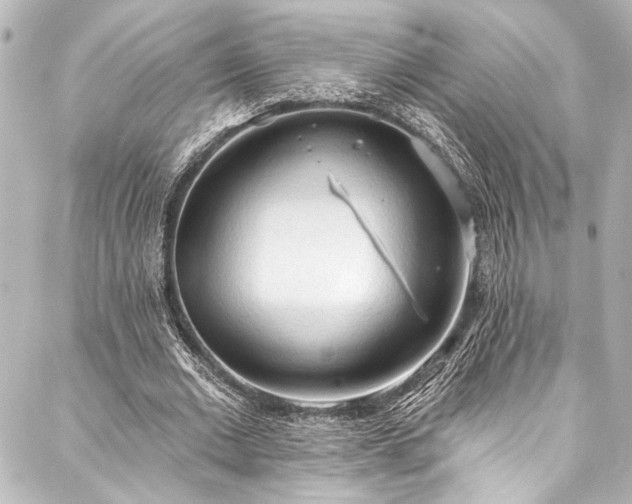 X0000088220677200705151414