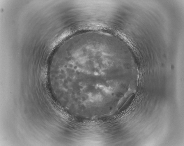 X0000088220679200705151414