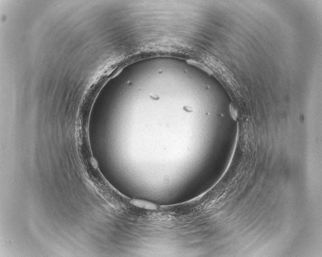 X0000088220680200705151414