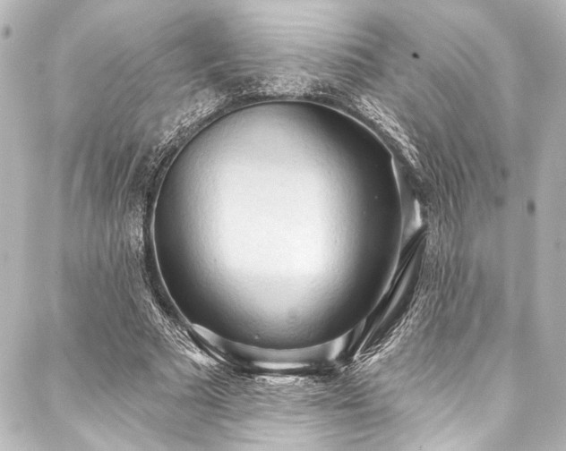 X0000088220681200705151414