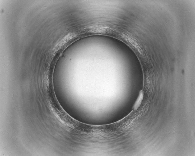 X0000088220682200705151414