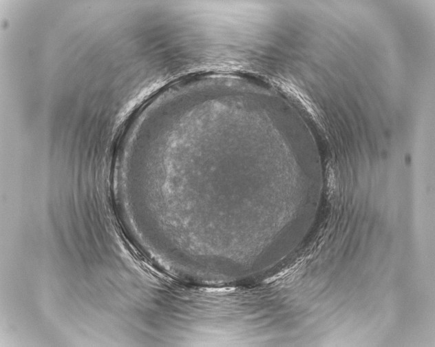 X0000088220684200705151414