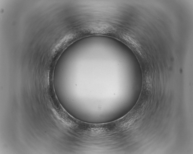 X0000088220686200705151414