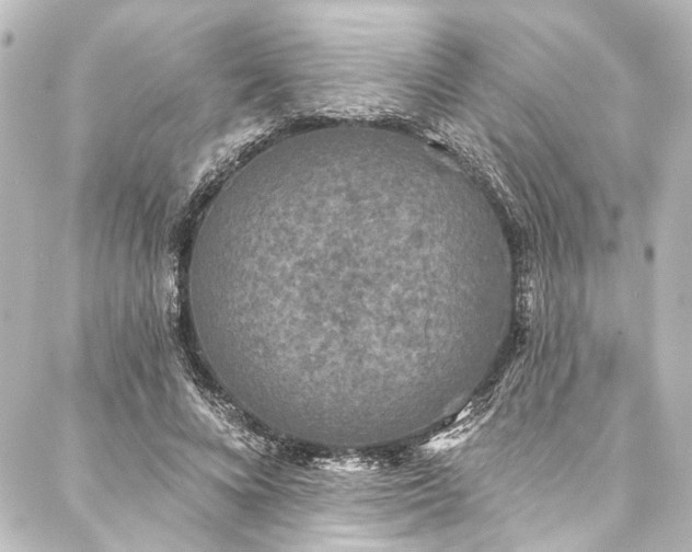 X0000088220688200705151414