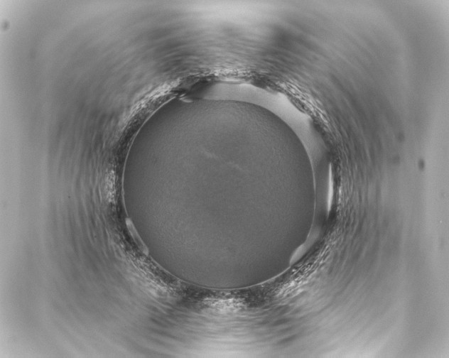 X0000088220689200705151414