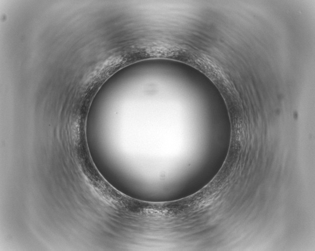 X0000088220690200705151414