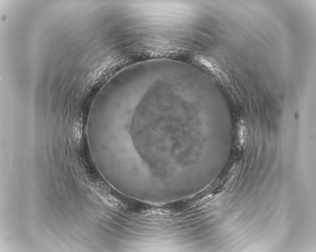 X0000088220691200705151414