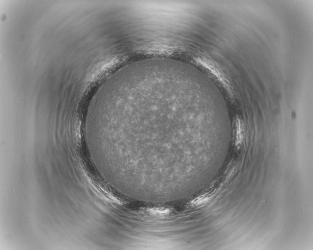 X0000088220692200705151414