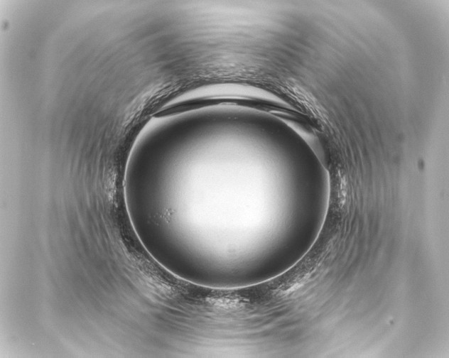 X0000088220693200705151414