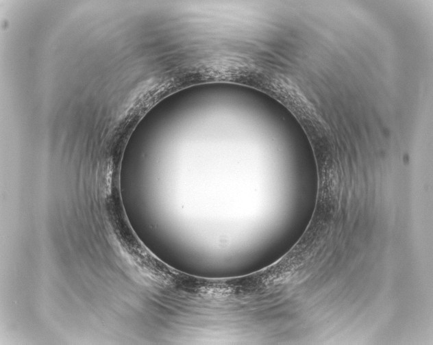 X0000088220694200705151414