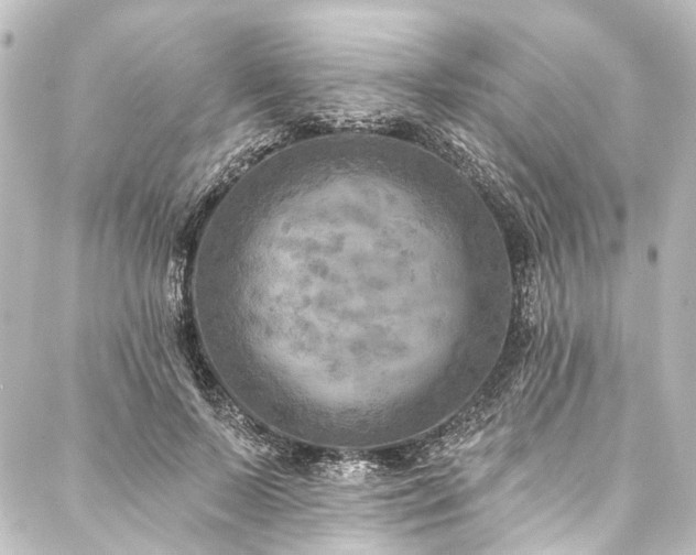 X0000088220695200705151414