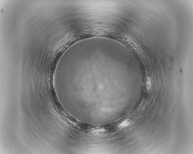 X0000088220696200705151414