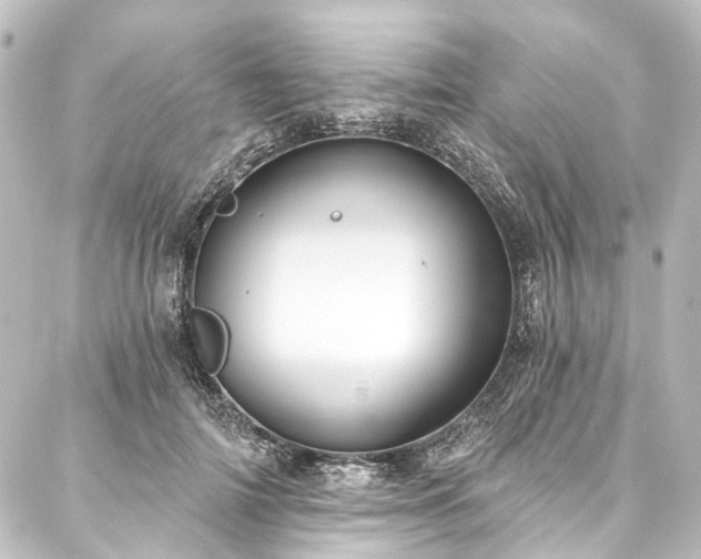 X0000088220698200705151413