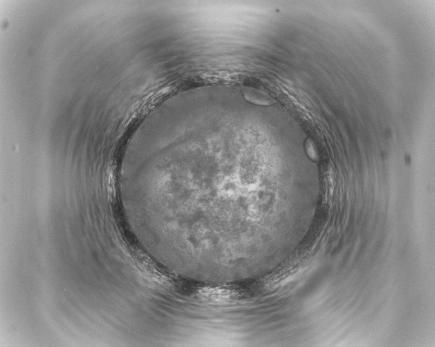 X0000088220699200705151413