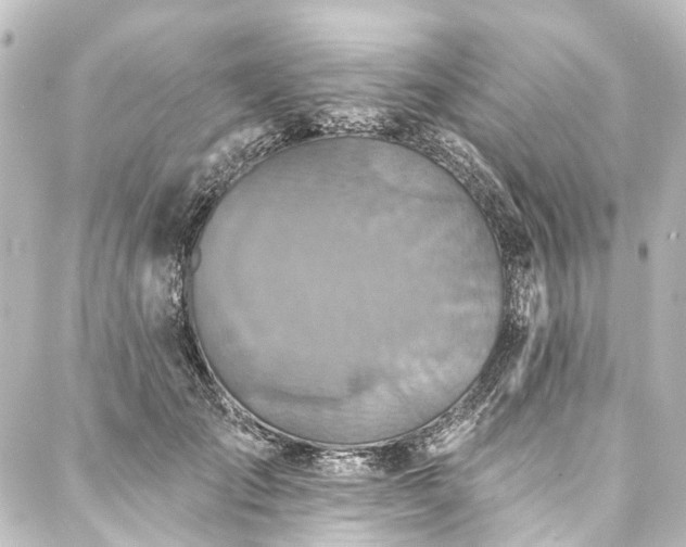 X0000088220701200705151413