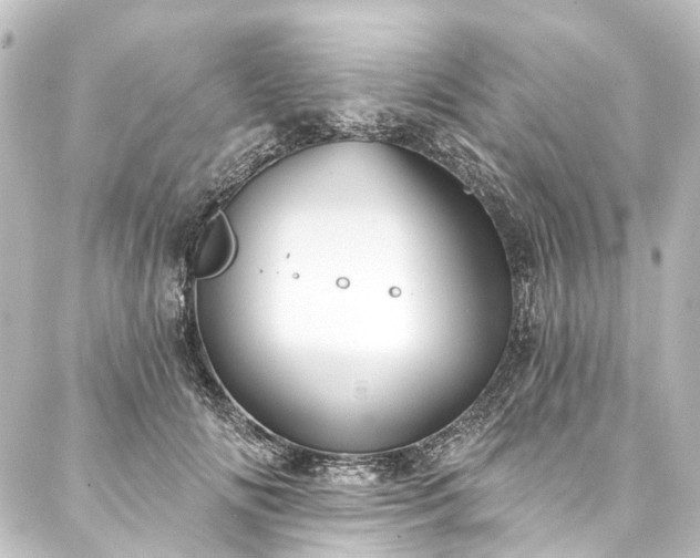 X0000088220702200705151413