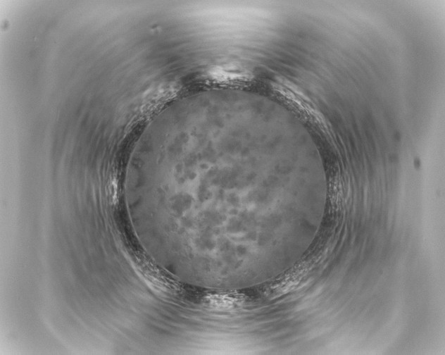 X0000088220703200705151413