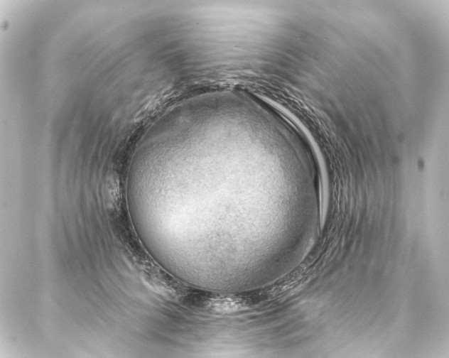 X0000088220704200705151413