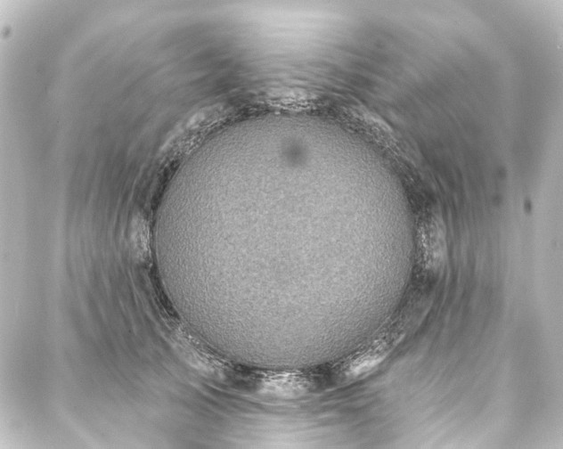 X0000088220705200705151413