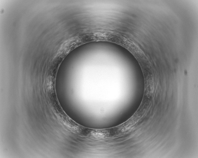 X0000088220706200705151413