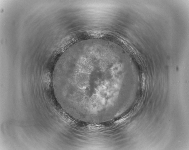 X0000088220707200705151413