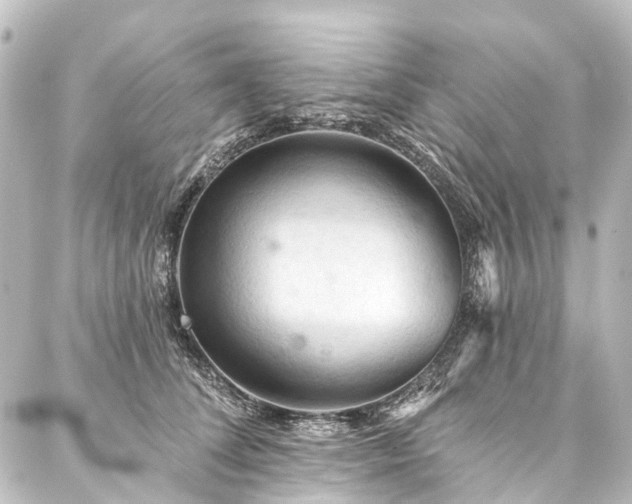 X0000088220708200705151413