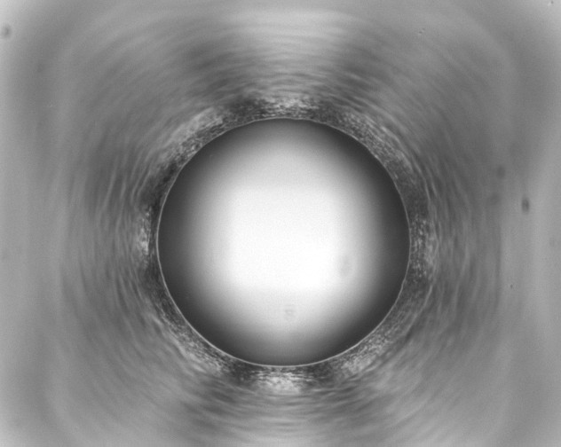 X0000088220710200705151413