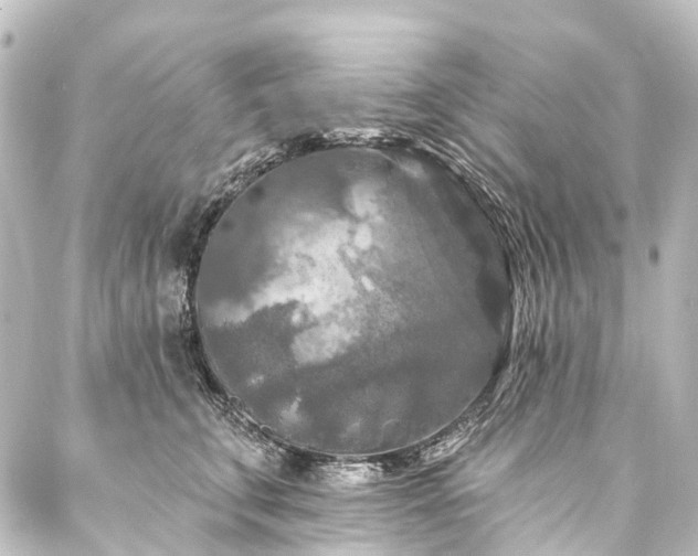 X0000088220711200705151413