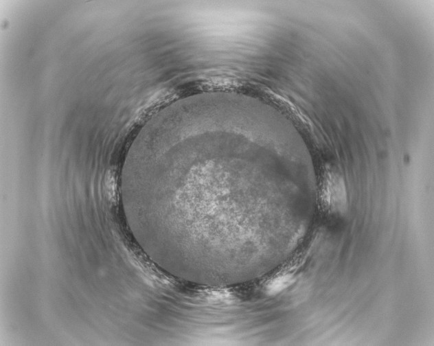 X0000088220715200705151413