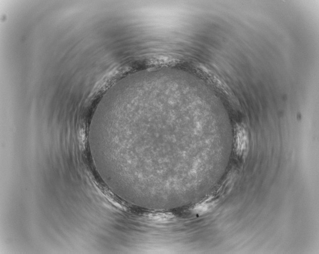 X0000088220716200705151413