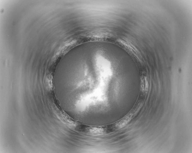 X0000088220718200705151413