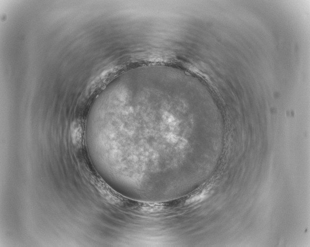 X0000088220720200705151413