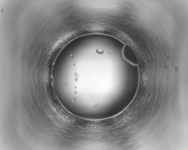 X0000088220732200705151413