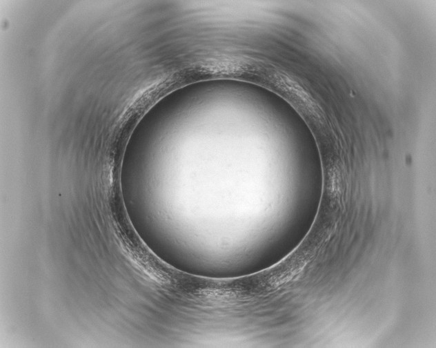 X0000088220733200705151413