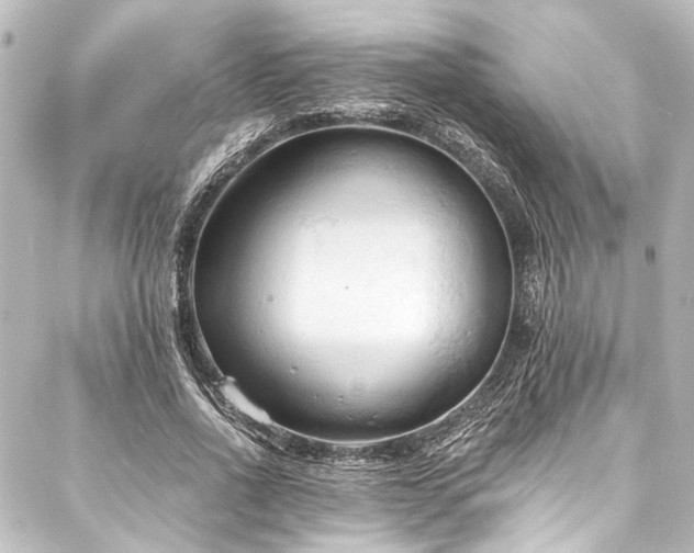 X0000088220734200705151413