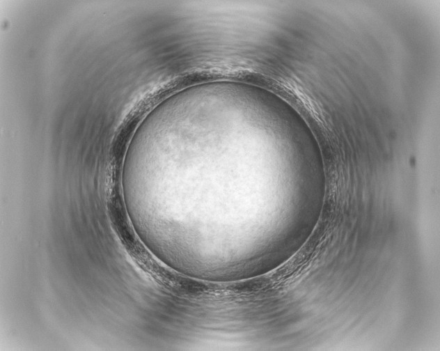 X0000088220736200705151413