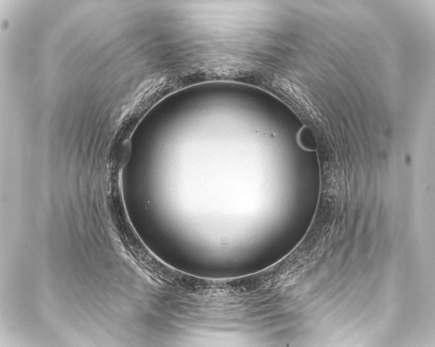 X0000088220738200705151413